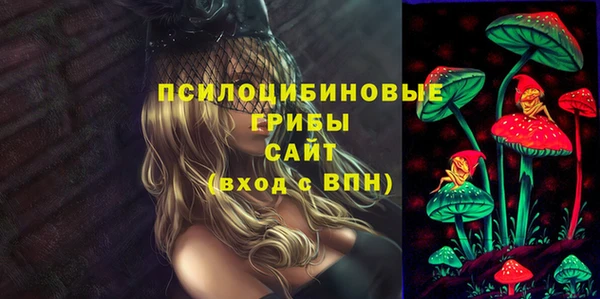 ECSTASY Алексеевка